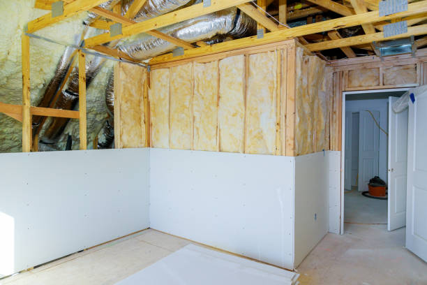 Best Soundproof Insulation  in Buffalo, MO