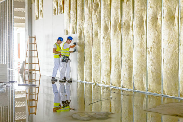 Fireproof Insulation in Buffalo, MO